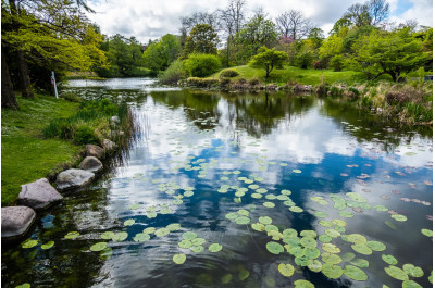 Водоем своими руками: как сделать пруд своими руками?